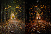 30 Rainy Fall Lightroom Collection, a Preset Add-On by 3Motional (Thumbnail 2 of 11)