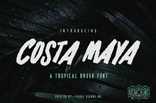 Costa Maya - Tropical Brush Font