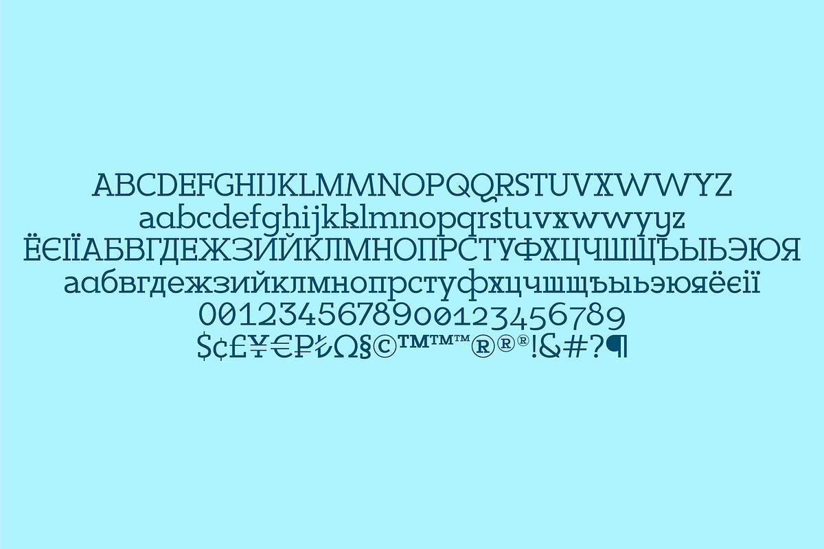 Sadina Slab, a Slab Serif Font by NumidiaType (Photo 5 of 6)