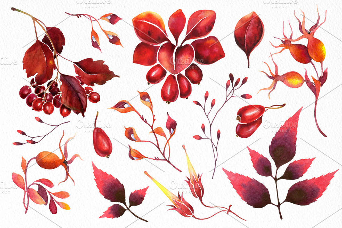 Autumn watercolor illustrations set, an Illustration by Color and Decor (Photo 3 of 5)