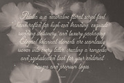 Petalia Decorative Floral Font, a Script Font by AnMark (Thumbnail 8 of 11)
