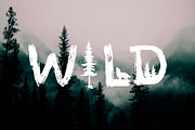 Wilderness & Camping graphic set, an Object Graphic by VerAna (Thumbnail 13 of 24)