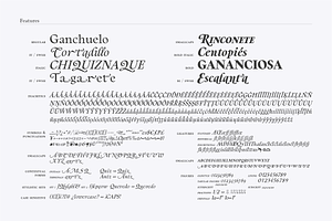 Berganza Font