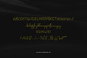 Casterio-Signature font, a Script Font by Panatype™ Studio (Thumbnail 4 of 9)