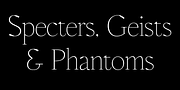 WT Solaire, a Serif Font by Wraith Types (Thumbnail 6 of 8)