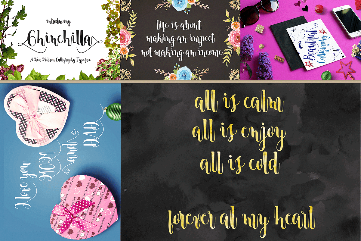 THE COLLECTION BUNDLE, a Script Font by danti (Photo 15 of 31)