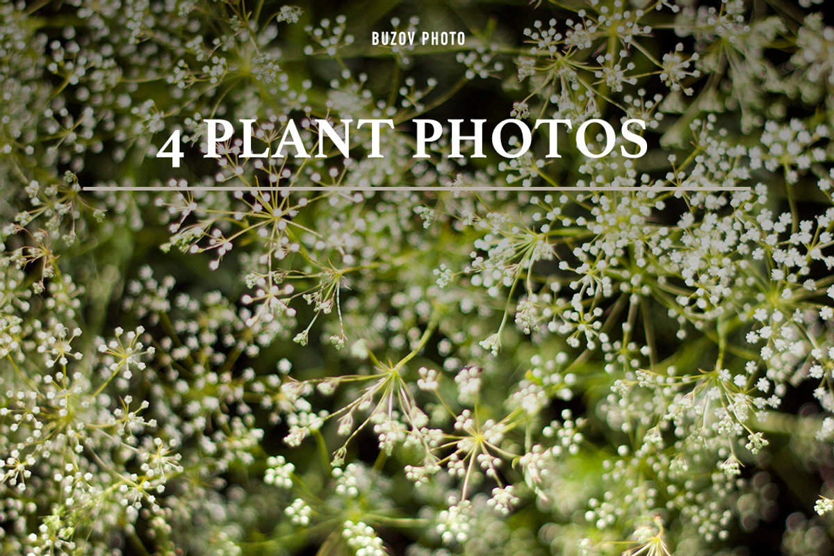 14 Wedding Season Decoration Photos, a Social Media Template by Schreibikus (Photo 5 of 7)