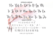 Pinkbird | Script Font, a Script Font by Scratchones (Thumbnail 3 of 8)