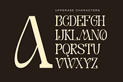 Robay – Elegant Luxury Serif Font, a Serif Font by Illushvara Design (Thumbnail 7 of 10)