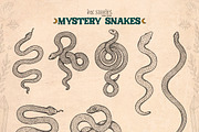 Mystery Snakes, an Animal Illustration by Ink Stories (Thumbnail 9 of 31)