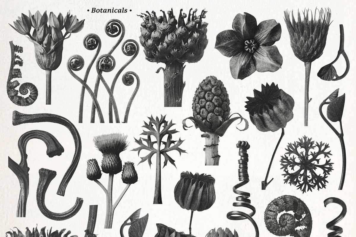 The Eerie Reverie Collage Pack, an Object Graphic by Dina Mae (Photo 7 of 13)
