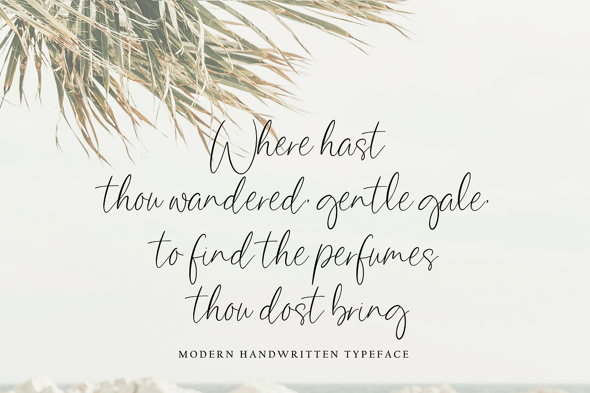 Battem Shampo, a Script Font by pineungtype (Photo 2 of 10)