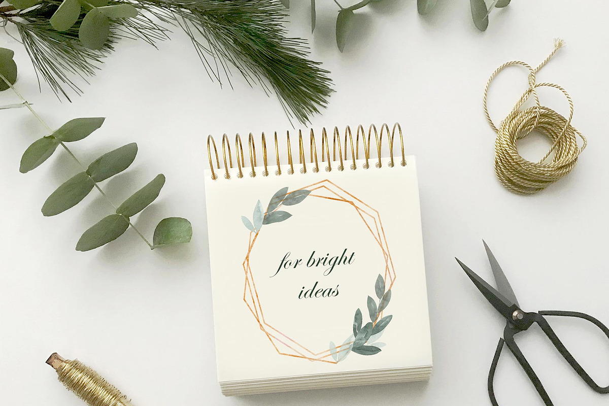 Eucalyptus Foliage Watercolor Set, an Illustration by Catch the Dream Art (Photo 3 of 7)