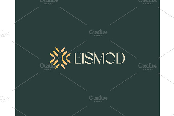 A cross logo from leaves vector logo preview 2