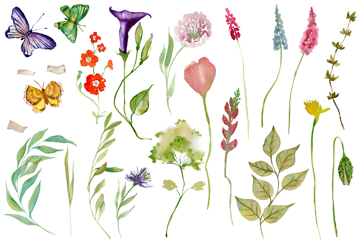 Nature Collection watercolour flower, a Decorative Illustration by ElenazlataArt (Photo 2 of 8)