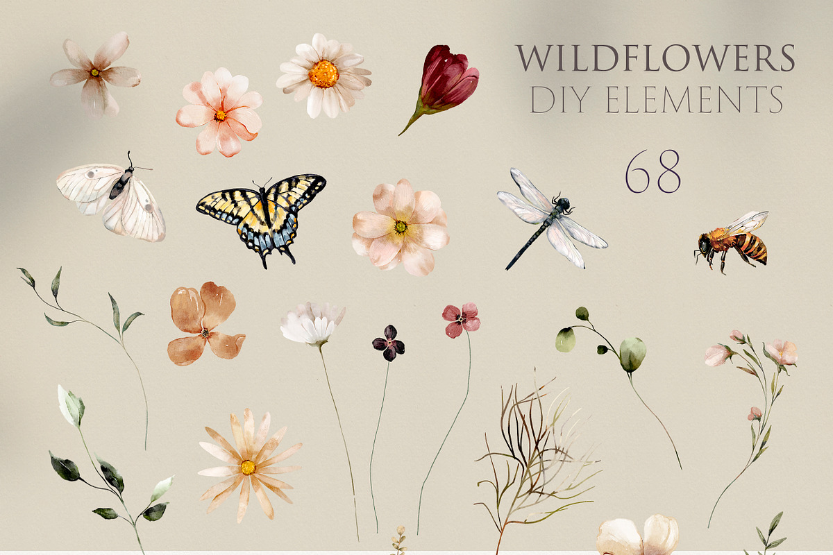 Wildflowers Watercolor Collection, a Decorative Illustration by Les Frolova (Photo 11 of 12)