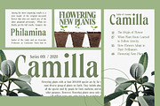 Roystorie Serif Family - 9 Fonts, a Serif Font by Typia Nesia (Thumbnail 10 of 12)