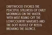 Driftwood, a Serif Font by Fairwren Creative (Thumbnail 3 of 6)