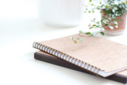 Neutral Collection | Styled Stock, a Business Photo by Chalking Up Stock (Thumbnail 8 of 25)
