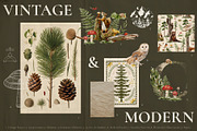 Enchanted Forest Watercolor Art, an Object Graphic by Julia Dreams (Thumbnail 5 of 12)