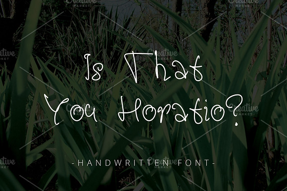 Is That You Horatio? ~ Font ~ preview 5