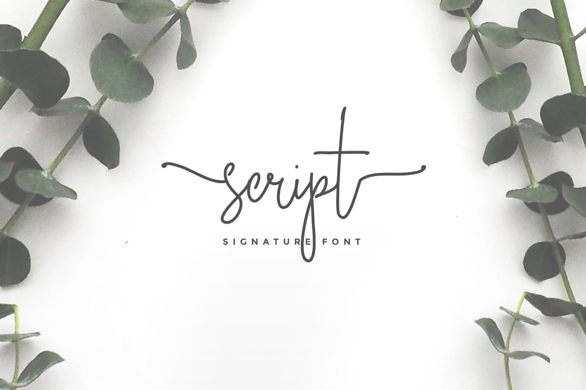 Wonderland Fonts Pack & Branding Kit, a Script Font by Graphicdome (Photo 64 of 118)