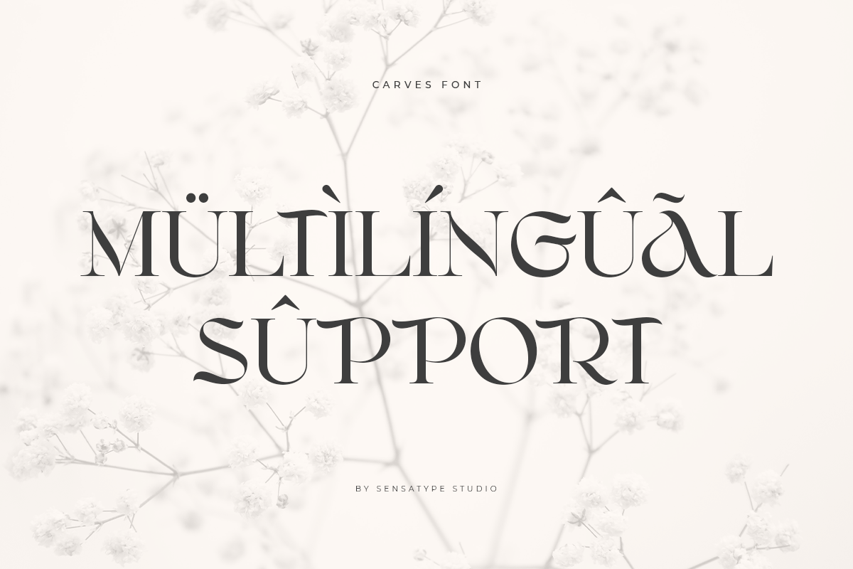 CARVES - Modern Display Font, a Sans Serif Font by Sensatype (Photo 16 of 20)