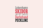 Farsan, a Slab Serif Font by Hökis Bokstavsfabrik (Thumbnail 3 of 7)