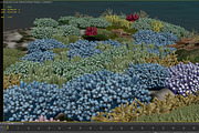 3D Cartoon Underwater Coral Reef Hab, an Environmental 3D Model by NOMODOL (Thumbnail 19 of 24)
