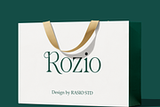 Salmine Modern Elegant Serif Font, a Serif Font by Vadovastd (Thumbnail 7 of 8)