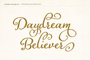 Adorn Collection, a Sans Serif Font by Laura Worthington (Thumbnail 21 of 62)