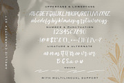 Amelliz - Calligraphy Brush Font, a Script Font by StringLabs (Thumbnail 9 of 10)