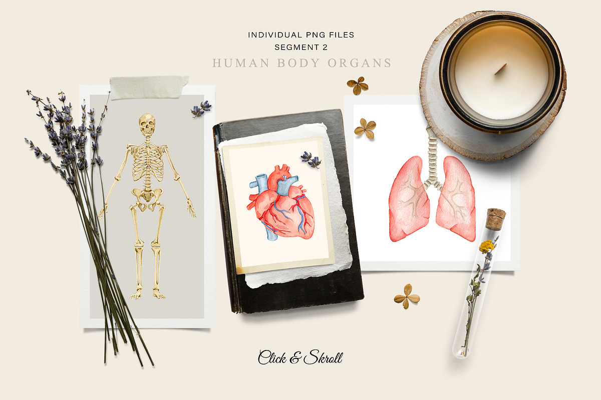 Medicine Vintage collection, a Healthcare Illustration by CrystalinaShop (Photo 3 of 10)