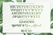 Girdens - Decorative Serif Font, a Serif Font by StringLabs (Thumbnail 10 of 12)