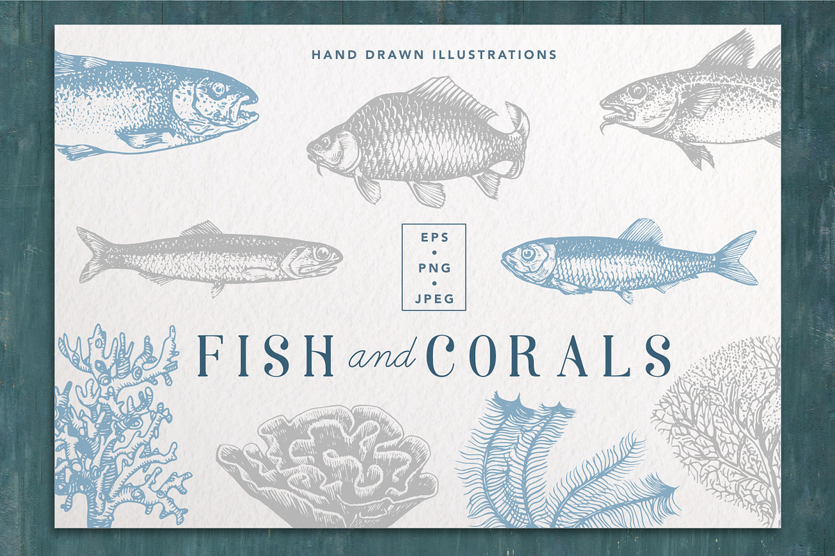 Fish & Corals Collection, an Animal Illustration by Chewie Co (Photo 1 of 9)