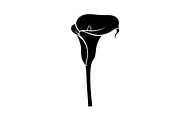 Black Lily Flower Vector Bundle, an Illustration by Designs_River (Thumbnail 35 of 51)