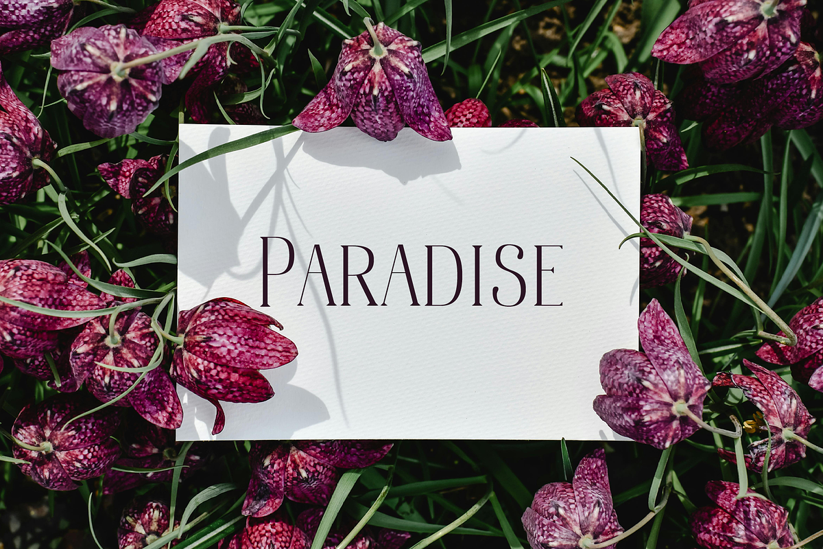 Bonheur Serif, a Serif Font by EW Type Foundry (Photo 8 of 10)