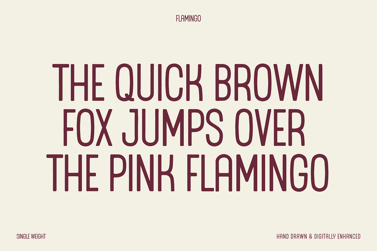 Flamingo Display Font, a Sans Serif Font by bryrude (Photo 3 of 4)