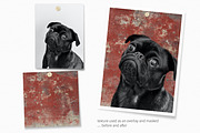 Oriental Reds, a Decorative Illustration by rileyBgraphics (Thumbnail 6 of 8)