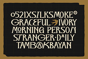 The Folk Moonlight - Display Serif, a Serif Font by ErgibiStudio (Thumbnail 2 of 10)