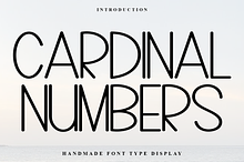 Cardinal Numbers