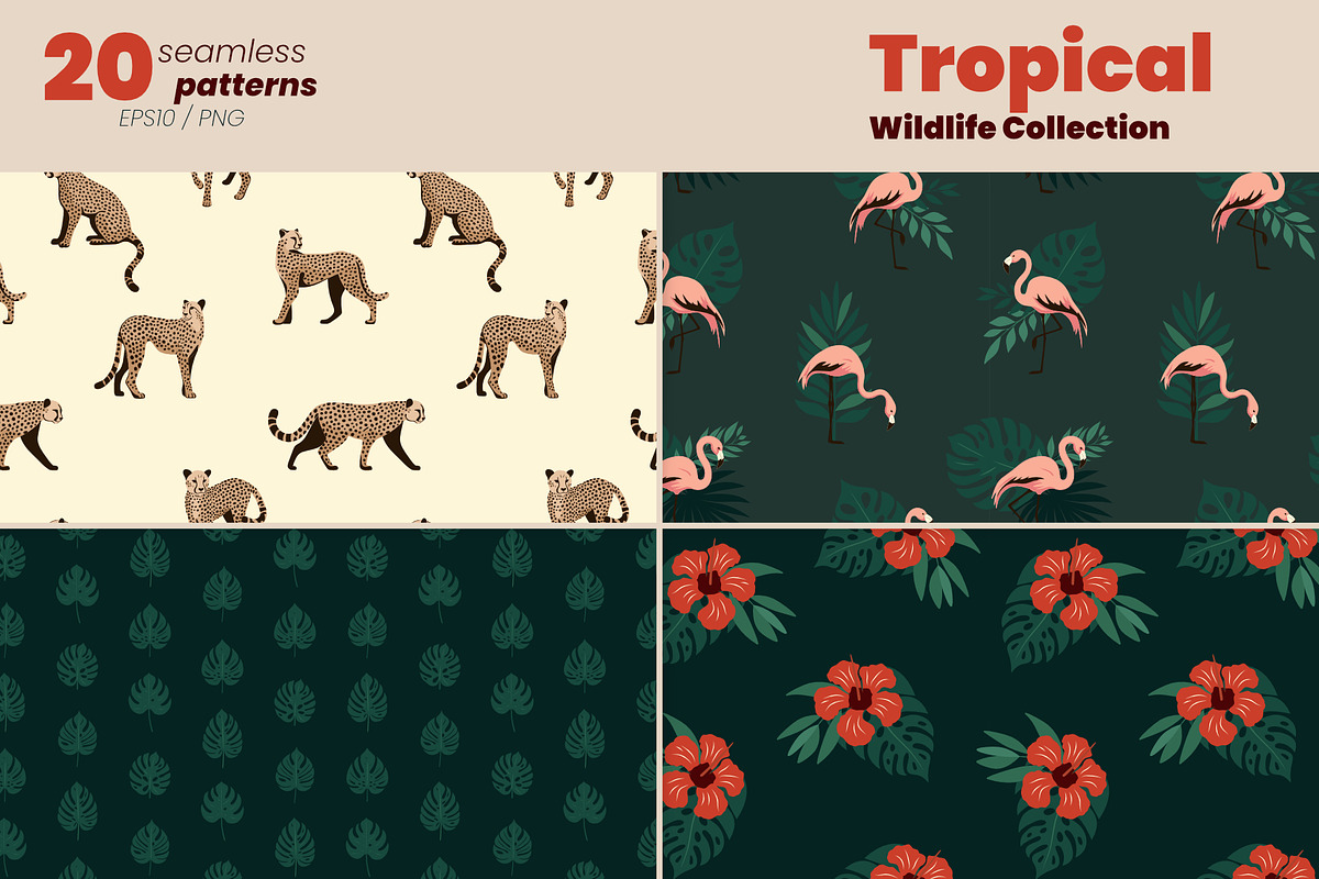 Tropical Wildlife Collection, a Decorative Illustration by moja doodle (Photo 3 of 8)
