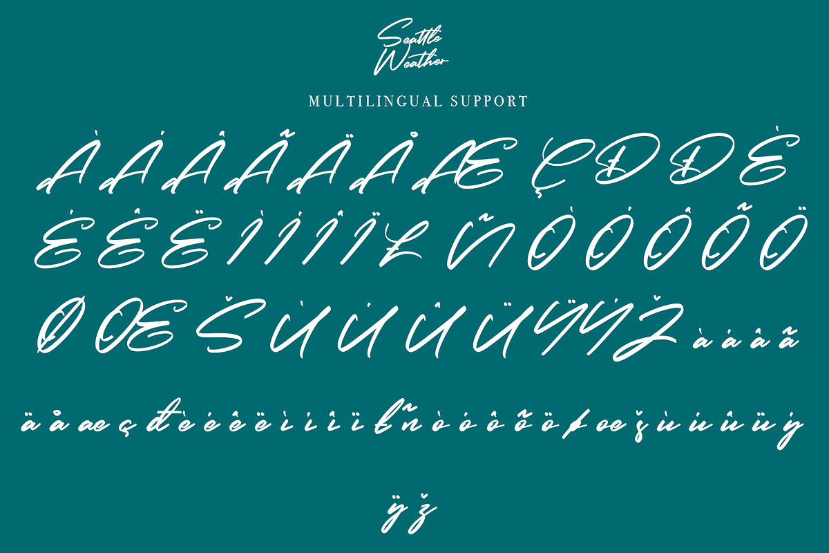 Seattle Weather - Bold Signature, a Script Font by Arendxstudio (Photo 8 of 8)