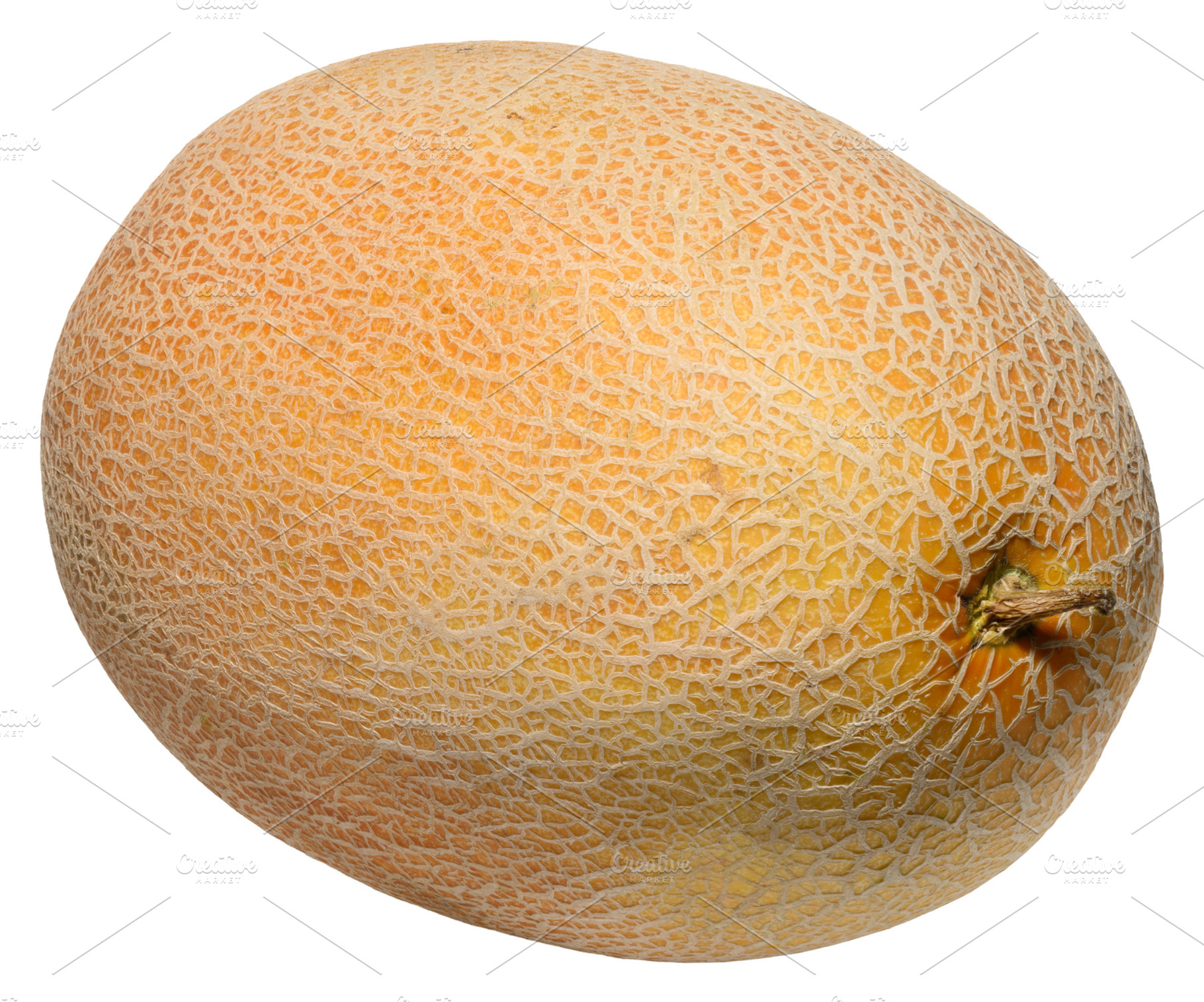Whole ripe cantaloupe melon with characteristic netted rind, sho, a Food & Drink Photo by ndanko