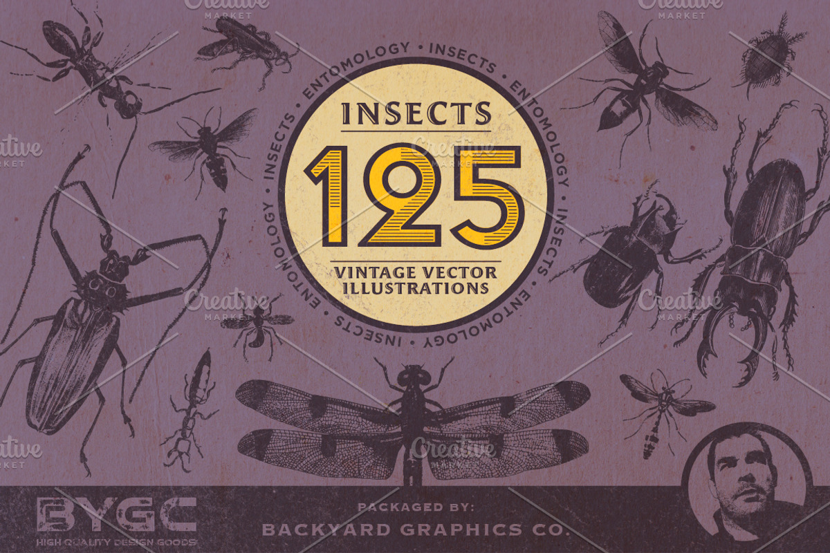 Vintage Insect Illustrations, an Illustration by BackYard Graphics Co. (Photo 1 of 10)