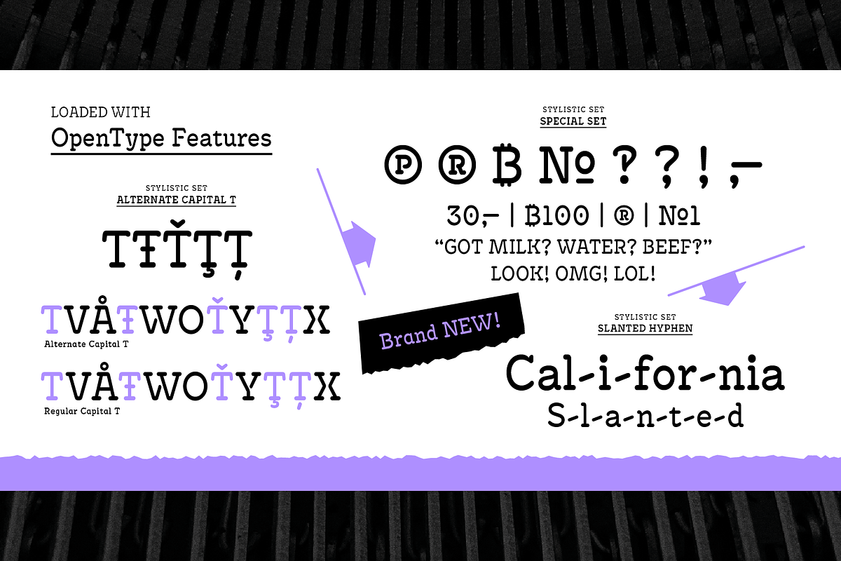 Antypica Family, a Slab Serif Font by Anfound Type (Photo 6 of 12)