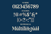 Nexot - Modern Serif Font, a Serif Font by Luna Shop (Thumbnail 8 of 11)