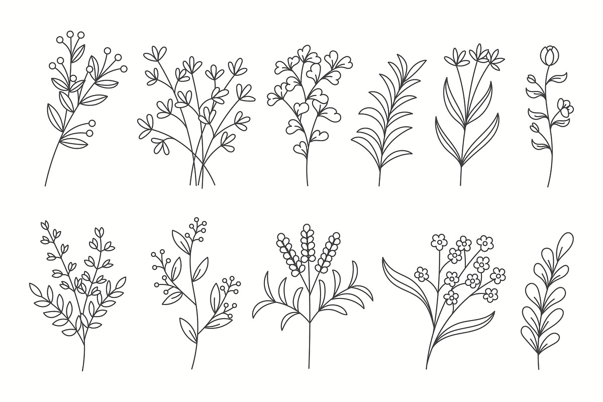 Set of Hand-Drawn Line Art Floral, a Decorative Illustration by Saba Vector
