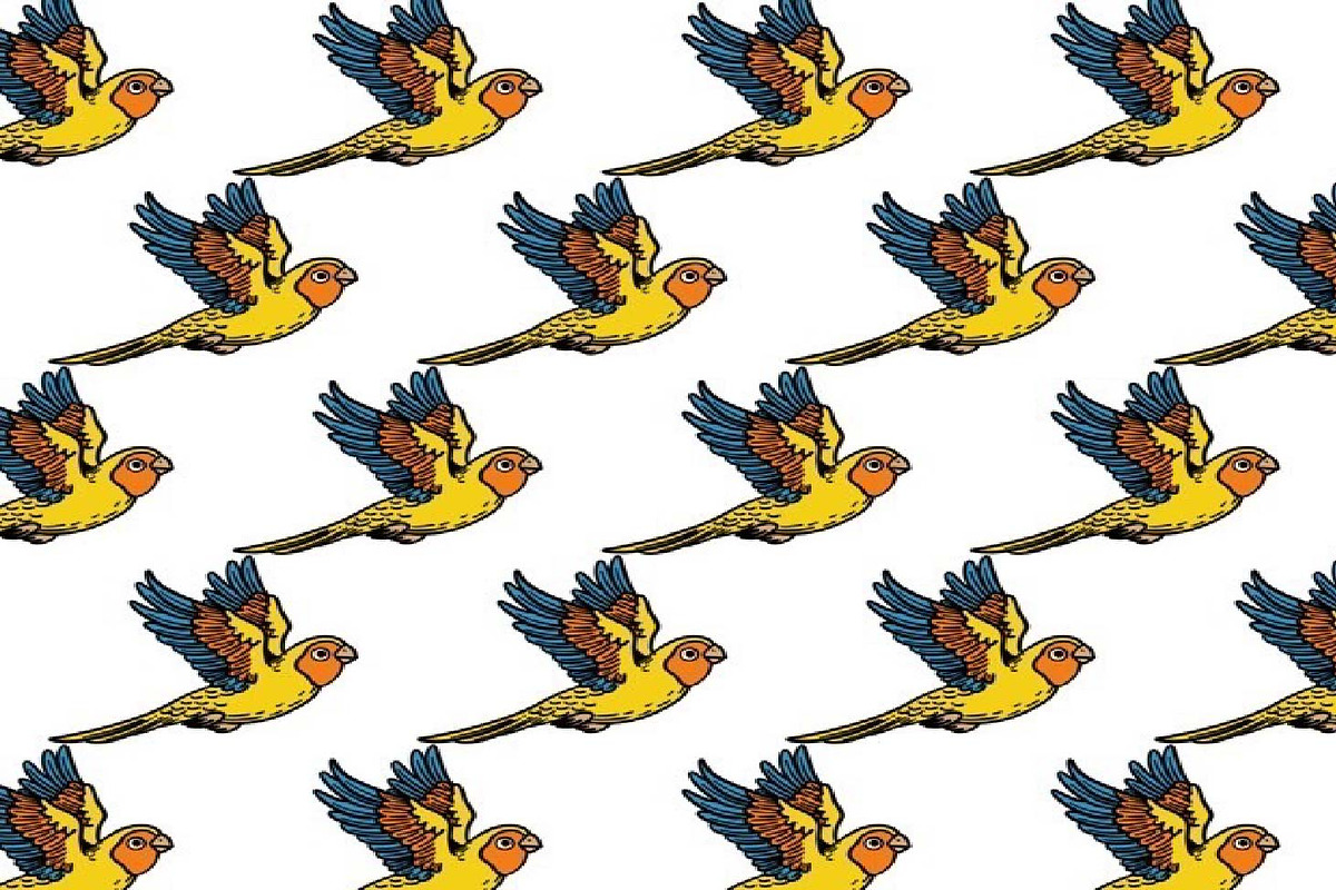 35 Bird Hand Drawing Illustration, an Illustration by Sani crunch (Photo 3 of 7)