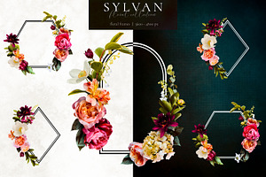 Sylvan Floral Clip Art Collection